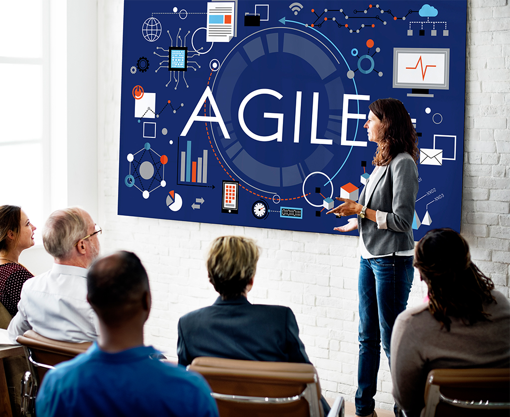 Delivery Model Agile consulting development support